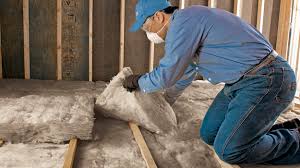 Best Pipe and Duct Insulation  in Knoxvle, IL